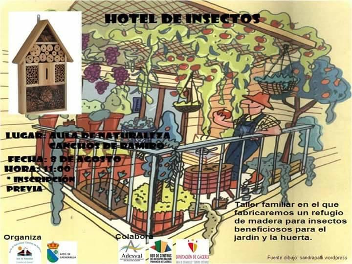 Imagen 8 de Agosto - Taller para la creación de un refugio para insectos