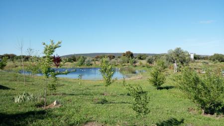 Imagen La Laguna